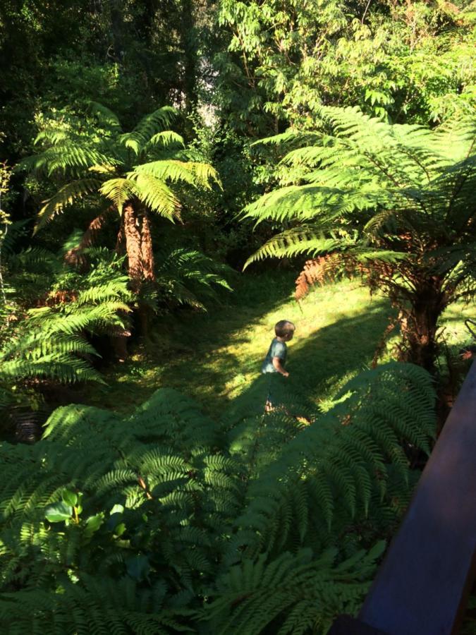 The Ferns Hideaway Villa Franz Josef Exterior photo